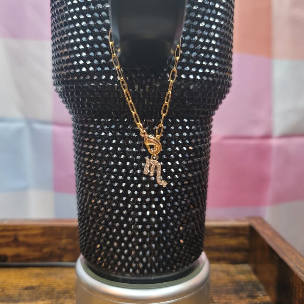 Scorpio Zodiac Tumbler Charm - Picture 2 of 4